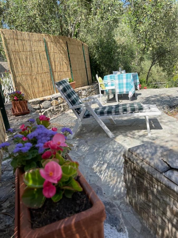 Piccola Navetta Apartment Diano San Pietro Bagian luar foto