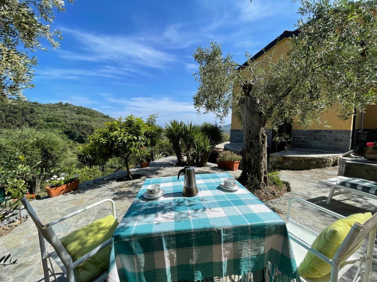 Piccola Navetta Apartment Diano San Pietro Bagian luar foto