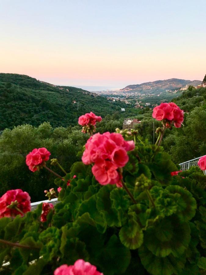 Piccola Navetta Apartment Diano San Pietro Bagian luar foto