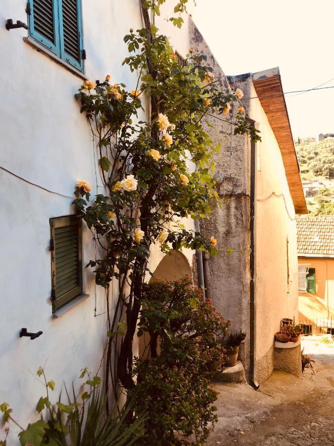 Piccola Navetta Apartment Diano San Pietro Bagian luar foto